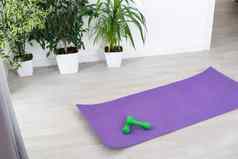 培训首页概念室内装饰体育运动房间健身房健身锻炼紫色的席哑铃