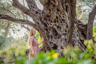 女人<strong>旅游</strong>年橄榄树正在尝试maslina布德瓦黑山共和国认为最古老的树欧洲<strong>旅游</strong>吸引力背景门的内哥罗山欧洲