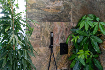 片段室内盆栽室内植物棕榈树首页园艺室内植物城市丛林概念