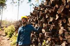 注意木材裁剪拍摄伐木工人站前面桩木
