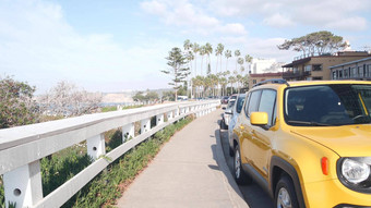 海滨海滨棕榈树黄色的车棕榈树加州海岸