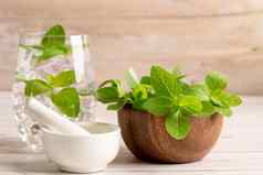 替代医学Herbal有机草本植物薄荷叶自然补充健康的好生活