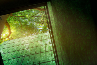 可持续发展的业务办公室建筑环保建筑现代城市绿色树可持续发展的玻璃建筑减少办公室建筑绿色环境健康的企业绿色