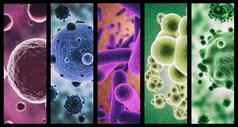 多色的微生物结合图像微生物颜色