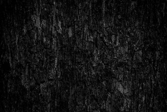 黑色的树树皮背景自然美丽的树树皮纹理年龄树美丽的树皮夏天
