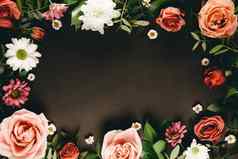 作文精致的夏天花黑色的背景前视图免费的空间文本框架粉红色的玫瑰白色雏菊