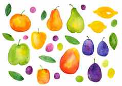 水彩柑橘类水果集手画插图苹果橙色柠檬梨葡萄李子