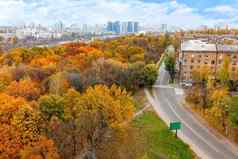 明亮的橙色树叶城市公园秋天景观城市视图前