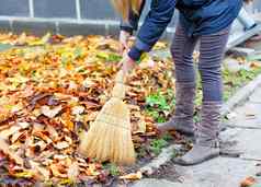女主人清洁工下降黄色的叶子花园路径秋天花园扫帚