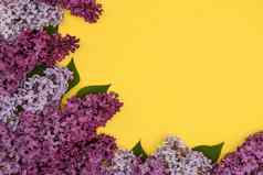 装饰框架淡紫色花空间文本黄色的背景平躺空间文本