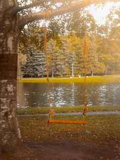 自制的摇摆不定的董事会绳子树公园花园空空间秋天背景