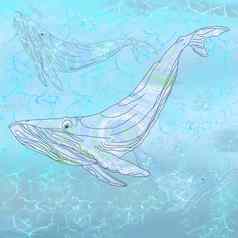 艺术连续行画鲸鱼鲸鱼画行游泳水蓝色的背景