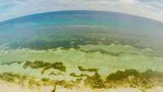 海洋海岸美丽的珊瑚珊瑚礁的观点空中视图