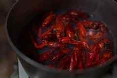 红色的新鲜的开胃的小龙虾煮熟的平底锅小龙虾啤酒