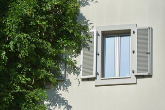 灰色的塑料窗口百叶窗住宅建筑攀爬植物