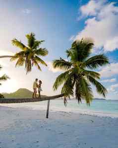 普拉兰岛塞舌尔热带岛细枝海滩棕榈树夫妇但女人吊床摇摆不定的海滩棕榈树昂斯沃尔伯塞舌尔
