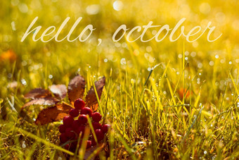 秋天秋天横幅问候10月金场叶子浆果