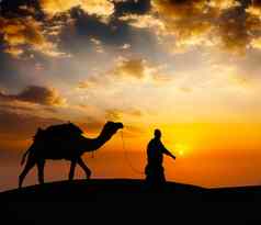 骆驼骆驼司机骆驼沙漠沙丘