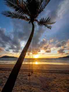 椰子棕榈树热带海夏天假期热带海滩概念椰子棕榈生长白色沙子海滩椰子棕榈树前面自由海滩普吉岛泰国