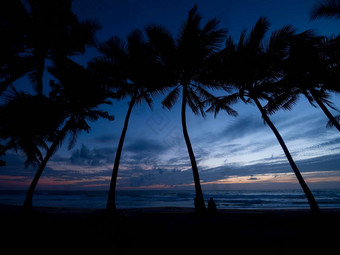 美丽的日落海轮廓椰子砰砰砰树芭东海滩热带海滩<strong>普吉岛</strong>泰国著名的<strong>旅游</strong>目的地安达曼海