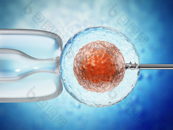 插图人工受精过程放映精子注射内部ovule插图