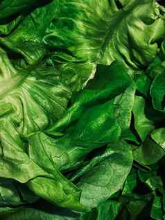 绿色沙拉健康的有机食物背景新鲜的蔬菜农民市场饮食农业