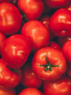 西红柿健康的有机食物背景新鲜的蔬菜农民市场饮食农业