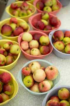 苹果盘子水果夏天秋天收获苹果黄色的红色的水果健康的食物