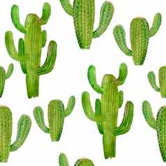 水彩手画无缝的模式热带墨西哥仙人掌仙人掌美美的绿色自然房子植物锅植物illsutration打印室内设计装饰壁纸纺织
