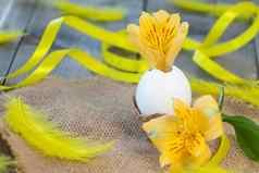 快乐复活节概念黄色的alstroemeria花蛋木背景黄色的花黄色的丝带