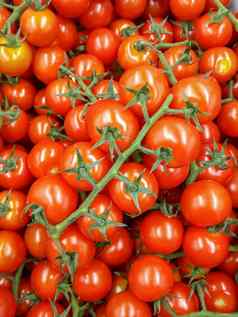 背景美丽的红色的西红柿美丽的大背景视图大数量红色的美丽的成熟的西红柿
