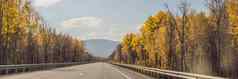 横幅长格式令人惊异的视图色彩斑斓的秋天森林沥青山路美丽的景观空路树阳光秋天旅行背景自然