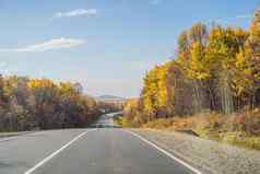 令人惊异的视图色彩斑斓的秋天森林沥青山路美丽的景观空路树阳光秋天旅行背景自然
