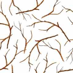 水彩手画无缝的模式棕色（的）分支机构树枝叶子秋天秋天冬天插图木林地森林生态环境设计户外乡村优雅的元素