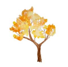 水彩手画插图秋天秋天树森林木林地公园户外野生景观自然野营设计秋天活动开放橙色黄色的温暖的颜色生态季节