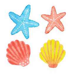水彩手画插图海星蓝色的红色的粉红色的颜色海贝壳橙色黄色的自然oceac海海滨生活夏天假期假期度假元素海洋生活孤立的设计
