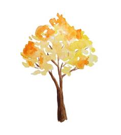 水彩手画插图秋天秋天树森林木林地公园户外野生明亮的景观自然野营设计秋天活动开放橙色黄色的颜色生态季节