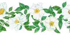水彩手画无缝的水平边境白色野生玫瑰花绿色叶叶子优雅的花安排框架婚礼邀请设计纺织自然自然植物草有机时尚