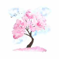 水彩手画设计插图粉红色的樱桃樱花树布鲁姆开花花天空鸟下降花瓣花见节日传统的日本日本文化自然景观植物春天3月4月