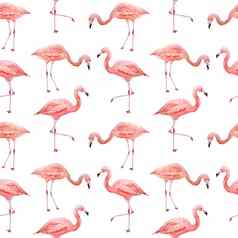 无缝的模式粉红色的火烈鸟热带异国情调的鸟玫瑰火烈鸟孤立的白色背景水彩手画现实的动物插图夏天鸟野生动物打印包装纸壁纸卡片纺织