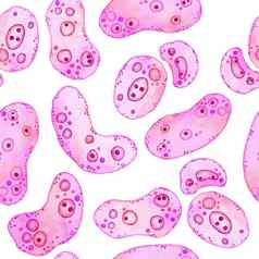水彩无缝的模式粉红色的紫色的细胞微藻微生物显微镜生物藻类概念化妆品医学医疗保健打印设计柔和的他一直细菌软椭圆形轮形状