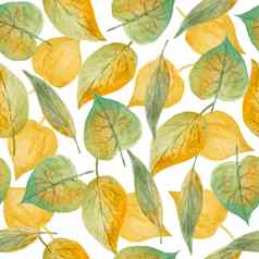 无缝的手画水彩模式绿色黄色的野生草本植物叶子木林地森林有机自然植物花植物设计壁纸纺织包装纸秋天秋天季节