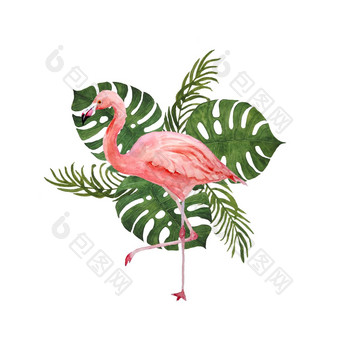 水彩手画插图粉红色的火烈鸟鸟热带绿色monstera棕榈丛林叶子背景夏天假期假期概念打印卡邀请t恤装饰