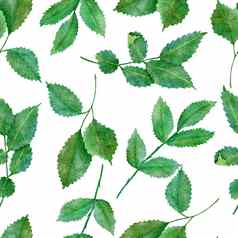 水彩手画无缝的模式绿色叶子自然叶绿色植物野生草本植物fabricprint设计优雅的树叶背景壁纸纺织