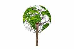 树叶子世界地图概念环境保存世界