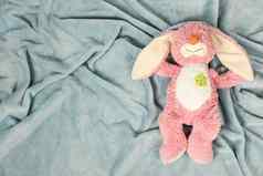 豪华的玩具坐着豪华的毯子豪华的粉红色的兔子玩具绿色花