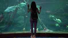 年轻的女人海洋水族馆海洋生活女孩游泳鱼