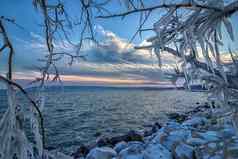 日出日落冰柱树分支机构冻冬天景观