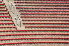 空红色的塑料椅子站体育场圆形露天剧场空座位观众站