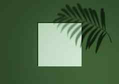 黑暗温暖的绿色渲染最小的简单的前视图平躺产品显示背景讲台上站棕榈叶影子自然产品